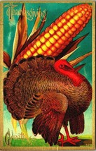 Turkey and Large Ear of Corn Thanksgiving Greetings Embossed 1911 Postcard - $14.80
