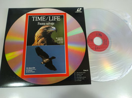 Time Life aguila dorada Falcons, Hawks, Vison Castor - Laserdisc Ld - 2T - $500.46 MXN