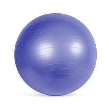 Fitness Anti-Burst Stability &amp; Pregnancy Ball, 65Cm, Purple - $24.66