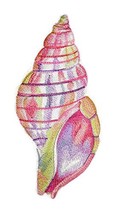 Ocean Calling Custom and Unique Sea Shell[ Tulip Shell in Watercolor ] Embroider - £15.16 GBP