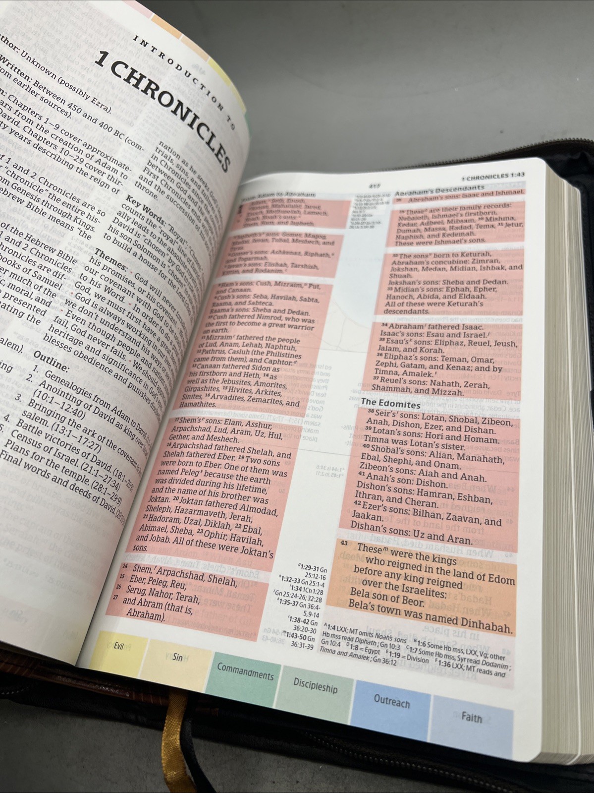 CSB Rainbow Study Bible,Black/Tan LeatherTouch, - CSB Bibles by Holman With Case Item image 14