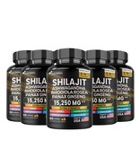 Shilajit Multivitamin(Turmeric, Ashwagandha, Ginger, Cordyceps Mushrooms... - $108.30 CAD