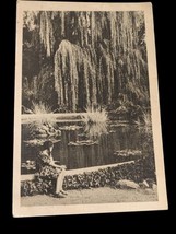 Vintage Russian Postcard 1960 Pond Willow Tree Young Girl Lily Pads Mess... - $9.78