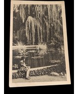 Vintage Russian Postcard 1960 Pond Willow Tree Young Girl Lily Pads Mess... - $180.38 MXN