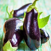 Eggplant Seed, Black Beauty, Heirloom, Non GMO, 50 Seeds, Vegetable - £1.59 GBP