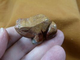 (Y-FRO-585) little Red/mustard jasper FROG stone gemstone figurine I lov... - $15.79