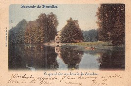 BRUXELLES BELGIUM~E GRAND LAC au BOIS de la CAMBRE~1900 TINTED PHOTO POS... - £5.04 GBP