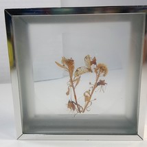 Butterfly dried flowers collage wall art diorama silver square framed ta... - $25.00