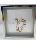 Butterfly dried flowers collage wall art diorama silver square framed ta... - $469.53 MXN