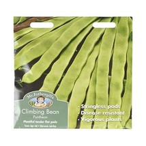 Mr Fothergill&#39;s 11510 CLIMBING BEAN Pantheon Seeds  - £8.69 GBP