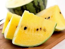 5 Yellow Watermelon Seeds TW91003 Fresh Seeds - £12.23 GBP