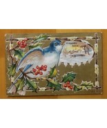 &quot;A Happy New Year&quot; - Bluebird on Holly - 1907-1915 Embossed Post Card - £3.34 GBP