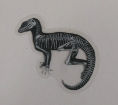 Iguana X-Ray Transparent Sticker 2.25&quot; x 2.18&quot; (AA) - $1.64