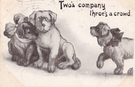 Two&#39;s Company Three&#39;s A Crowd Dogs Postcard D49 - £2.38 GBP