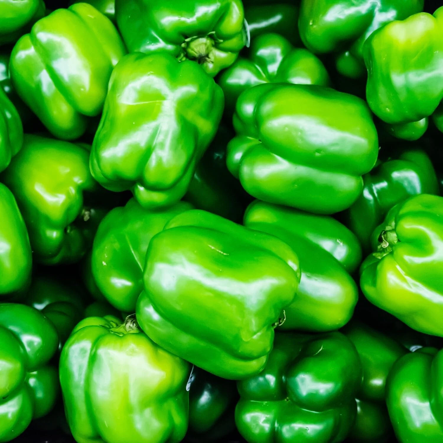 Easy to Grow California Wonder 300 TMR Sweet Bell Pepper  Heirloom 30 se... - $70.05 MXN