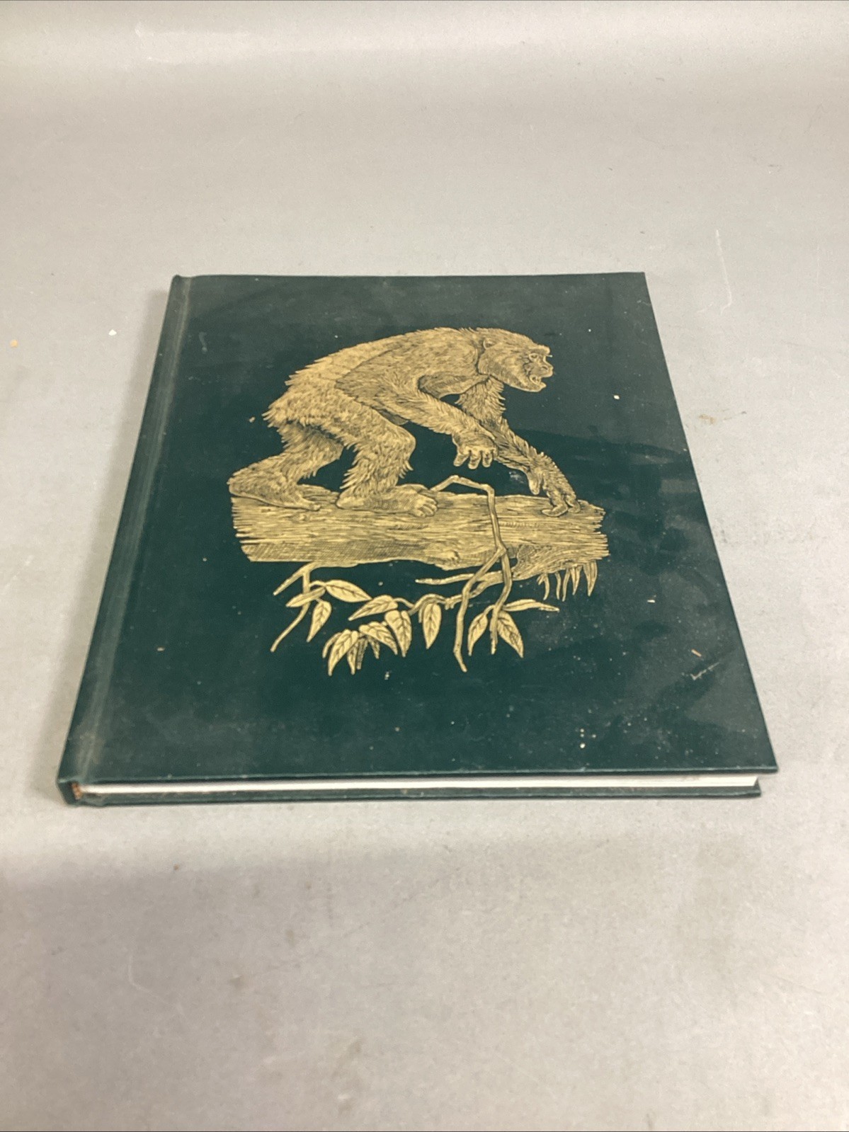 THE GREAT APES - Illustrated - Between Two Worlds National Geographic So... - $14.84