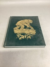 THE GREAT APES - Illustrated - Between Two Worlds National Geographic So... - $14.84