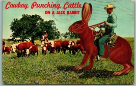 Comic Exaggeration Cowboy Punching Cattle on Jackrabbit Chrome Postcard I4 - $3.91