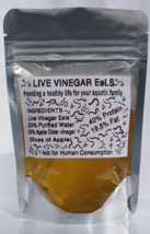 BUY 2 GET 1 FREE live Vinegar eels Mature culture starter baby live fish... - £11.18 GBP+