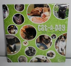 CAT-A-DAY 2020 NEW Cats 365 Cute Cat Kitten Pictures Images Calendar - $8.99