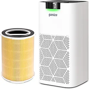 G200S Air Purifiers For Home Large Room And Pet A11Ergy Filter Bundle, 1... - $220.99