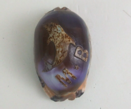 Hand Carved Dolphin M B Cowrie Sea Shell 1.5&quot; x 2.75&quot; - $148.18 MXN