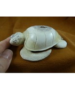 (TURT-SEA-W47) Sea Turtle turtles shed ANTLER figurine Bali detailed car... - $347.10 CAD