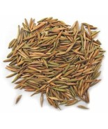 100% PURE KARVA INDRAJAU BITTER OLEANDER HOLARRHENA PUBESCENS - WHOLE - $8.81+