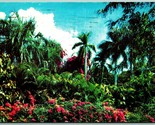 Du Sud Jardin À Neuf Port Richey Fl Floride 1960 Chrome Carte Postale I8 - £3.25 GBP