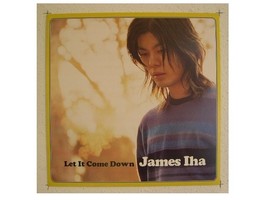 James Iha Poster Flat Of The Smashing Pumpkins Let It C - $13.44
