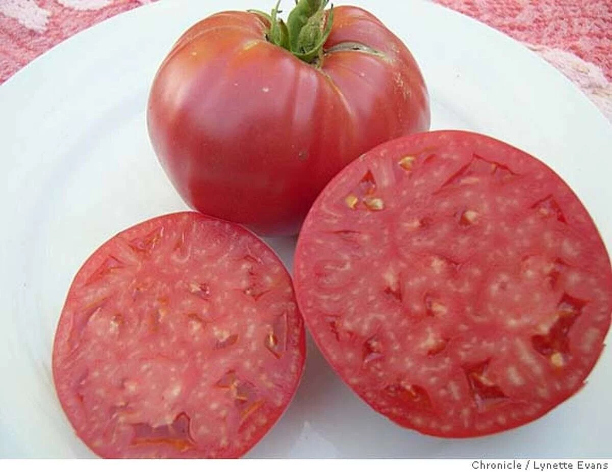 240+ German Giant Tomato Seeds - Non-GMO - Heirloom - Organic --- HUGE -... - $8.46