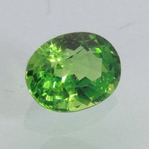 Tsavorite Garnet Grass Green Faceted 7x5 mm Oval Bright Natural Gem 1.11 carat - £319.71 GBP