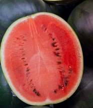 400 Seeds Black Diamond Watermelon Seeds Large Watermelon NON-GMO - £13.96 GBP