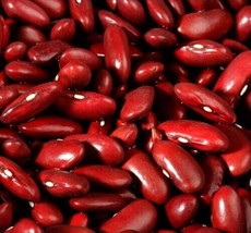 Dark Red Kidney Bush Bean 7 Seeds, Baked Beans And Chili, Non-Gmo - £4.13 GBP