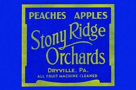 Stony Ridge Orchards Peaches &amp; Apples - Art Print - £17.57 GBP+