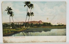 Hawaii Rice Field Hawaiian Islands Postcard M20 - £19.94 GBP