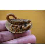 (tb-scorp-1) little tan scorpion Tagua NUT palm figurine Bali carving Sc... - £38.60 GBP
