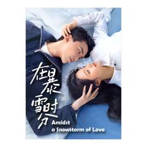 Amidst a Snowstorm of Love (2024) Chinese Drama - £54.41 GBP