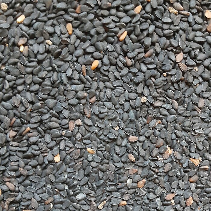 Organic Kurogoma Sesame Fresh Gardening USA SELLER - $11.99