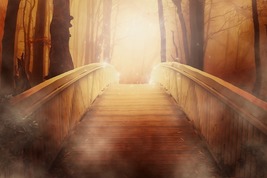 50-200X FULL COVEN BRIDGE THE DISTANCE END SEPARATION LOVE RELAITON MAGICK RING  image 2