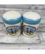 Ocean SeaGulls Pelican Salt Pepper Shakers Travel Boat Sea Vacation Seas... - $232.01 MXN