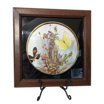 Real Pressed Butterfly Wall Decor Picture Shadow Box Flowers Vtg 70s Taxidermy - £30.94 GBP