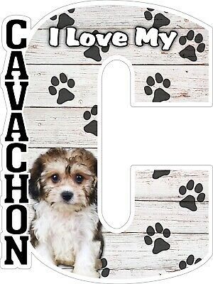 Primary image for I Love My Cavachon Dog Fridge Magnet