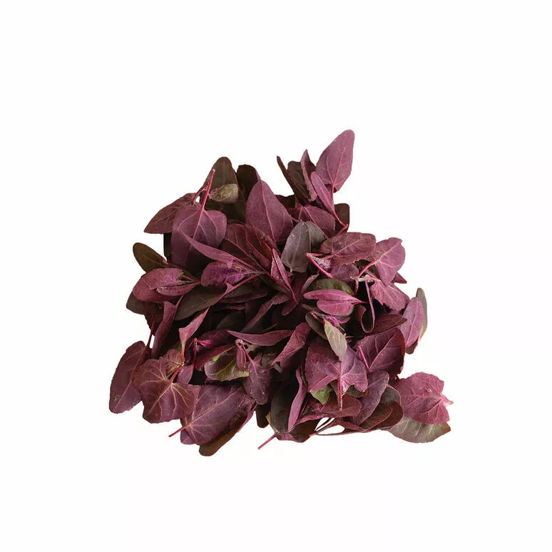 300 BRIGHT RED ORACH SEEDS FRENCH SPINACH - $111.56 MXN