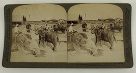 Vintage Stereoscope Photo Underwood INDIA ELEPHANTS Working Timber Yard 1905 - £12.72 GBP