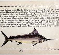 Marlin 1939 Salt Water Fish Gordon Ertz Color Plate Print Antique PCBG19 - $570.01 MXN