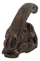 Faux Taxidermy Replica Parasaurolophus Dinosaur Head Fossil Small Skull Figurine - £29.65 GBP