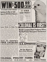 1942 Print Ad Colonial Poultry Farms World&#39;s Largest Chick Producer Mari... - $13.48