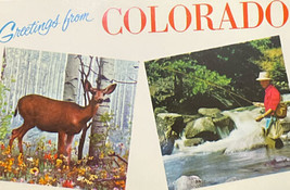 Greetings From Colorado Vintage Postcard Used 1960s - £2.94 GBP