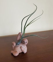 Sloth Air Plant Holder with Tillandsia Butzii Airplant, resin 3" animal planter image 1